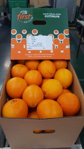 Box of juicy First Fresh NZ oranges