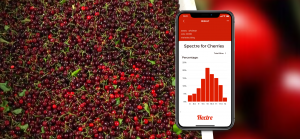 Spectre for cherries graph - cherry fruit sizing straight from a lug, bucket or bin