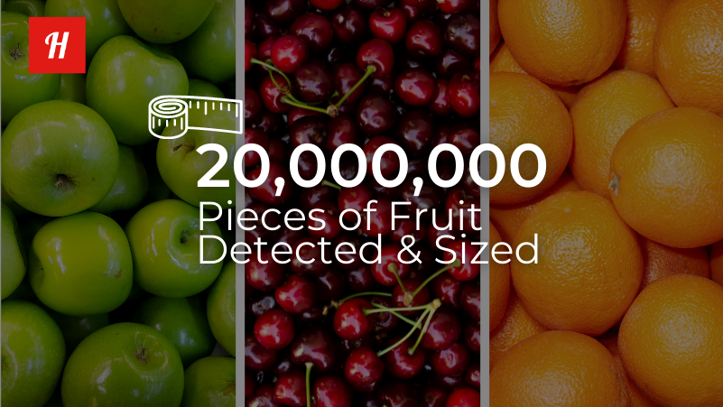 Hectre's fruit sizing app Spectre hits a new milestone after detecting and sizing 20 million pieces of fruit