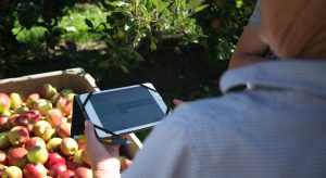 The Hectre app being used in the orchard