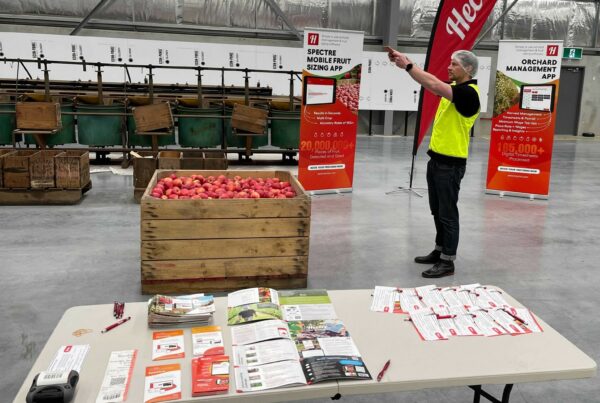 Photo of Spectre mobile fruit sizing being used at Montagues Packhouse Victoria Australia