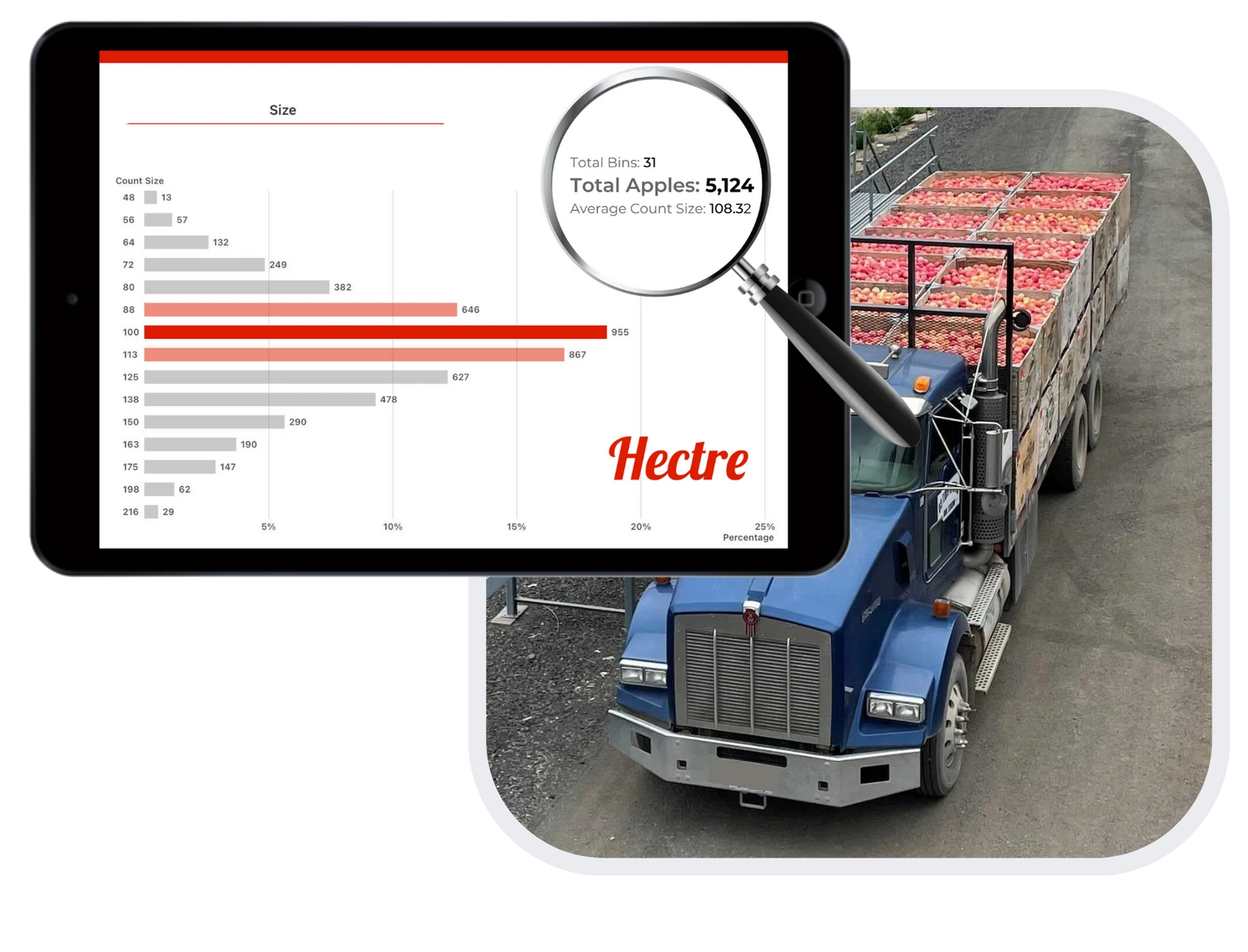 Hectre's sizing graph and apple truck