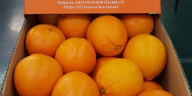 Box-of-juicy-First-Fresh-NZ-oranges
