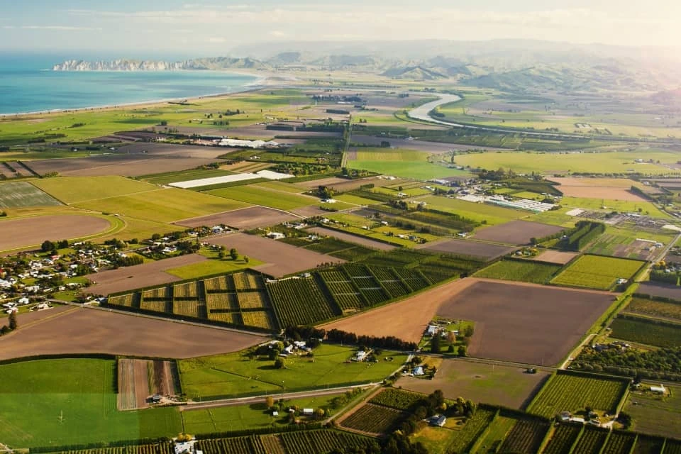 aerial shot of orchards