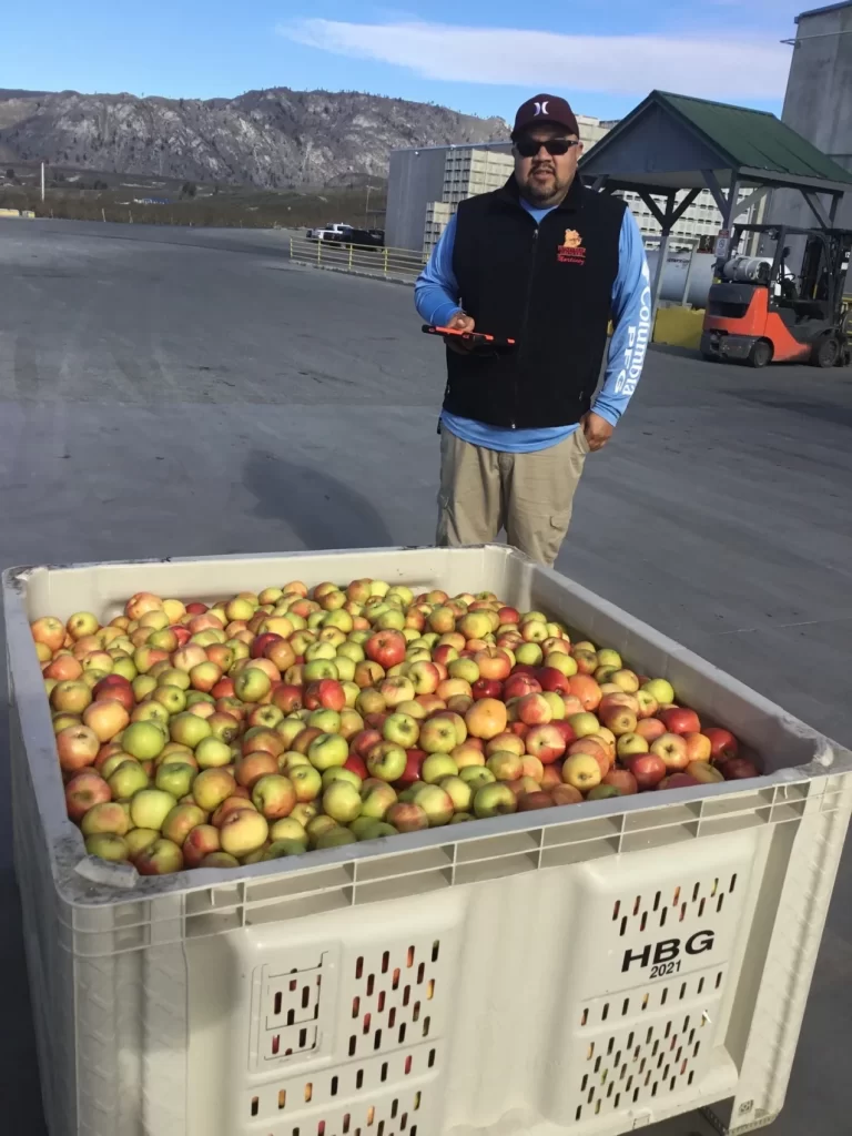 Man standing by apple bin